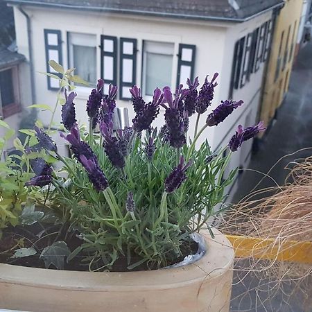 Haus Alfina Villa Eksteriør billede