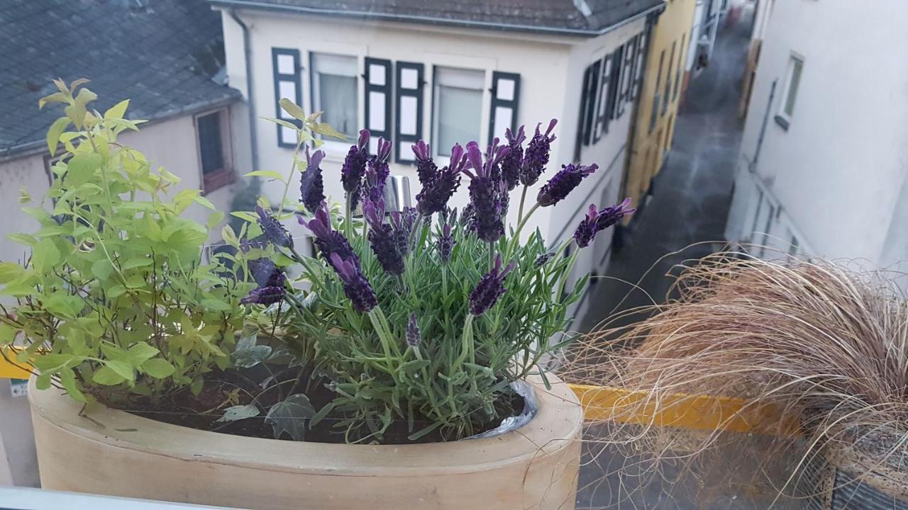 Haus Alfina Villa Eksteriør billede